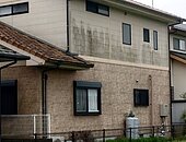 外壁・屋根につく苔の原因とは？｜佐賀県の住宅で増えやすい理由と正しい対策のイメージ