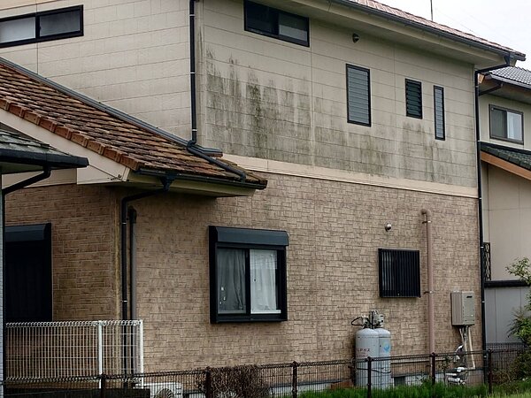 外壁・屋根につく苔の原因とは？｜佐賀県の住宅で増えやすい理由と正しい対策の画像